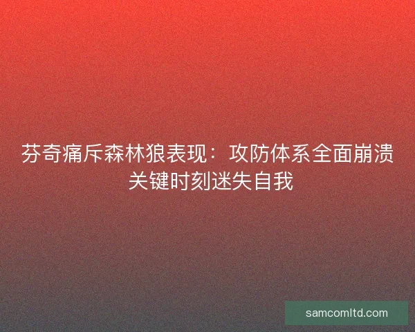 芬奇痛斥森林狼表现：攻防体系全面崩溃 关键时刻迷失自我